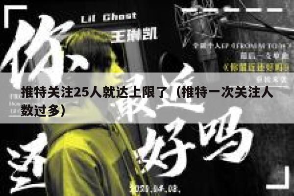 推特关注25人就达上限了（推特一次关注人数过多） 第1张