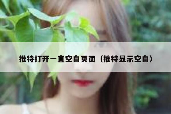 推特打开一直空白页面（推特显示空白） 第1张