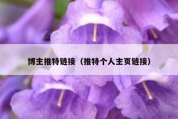 博主推特链接（推特个人主页链接） 第1张