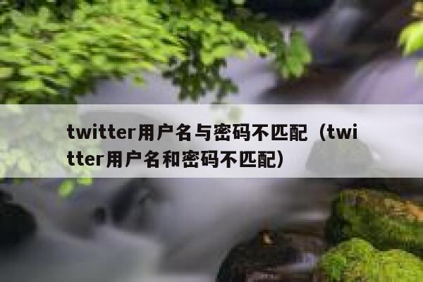 twitter用户名与密码不匹配（twitter用户名和密码不匹配） 第1张