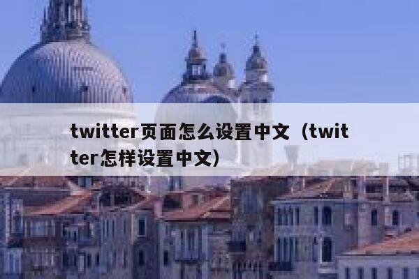 twitter页面怎么设置中文（twitter怎样设置中文） 第1张