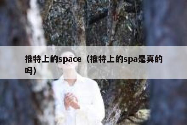 推特上的space（推特上的spa是真的吗） 第1张