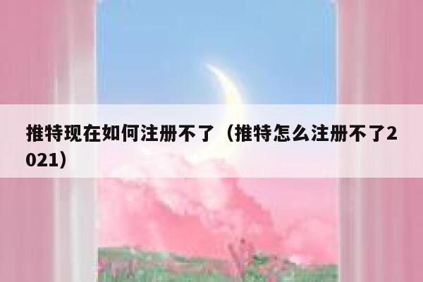 推特现在如何注册不了（推特怎么注册不了2021） 第1张