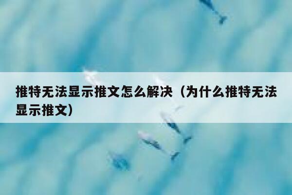 推特无法显示推文怎么解决（为什么推特无法显示推文） 第1张