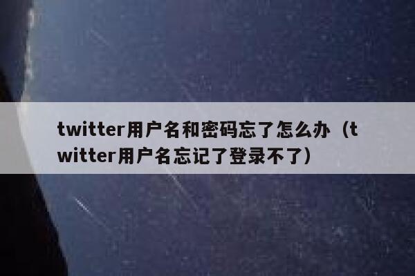 twitter用户名和密码忘了怎么办（twitter用户名忘记了登录不了） 第1张
