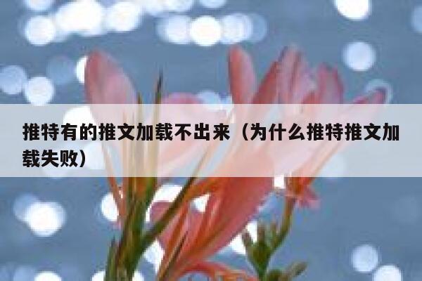 推特有的推文加载不出来（为什么推特推文加载失败） 第1张