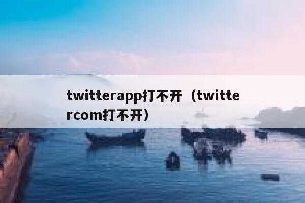 twitterapp打不开（twittercom打不开） 第1张