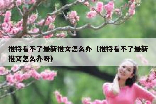 推特看不了最新推文怎么办（推特看不了最新推文怎么办呀） 第1张