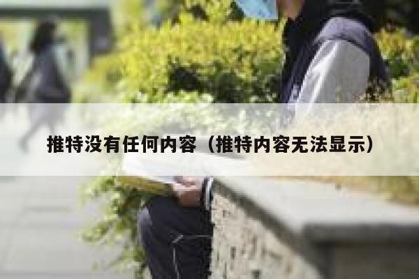 推特没有任何内容（推特内容无法显示） 第1张