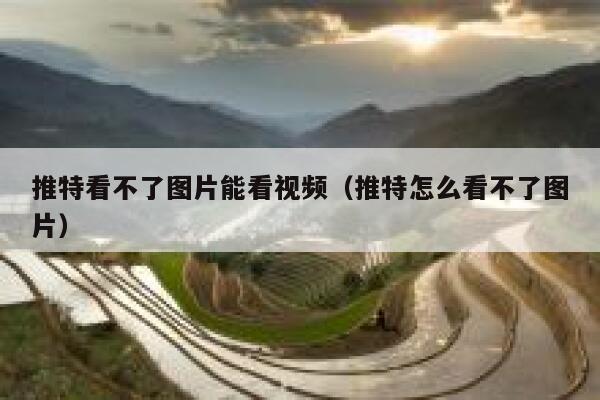 推特看不了图片能看视频（推特怎么看不了图片） 第1张