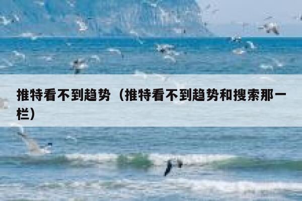 推特看不到趋势（推特看不到趋势和搜索那一栏） 第1张