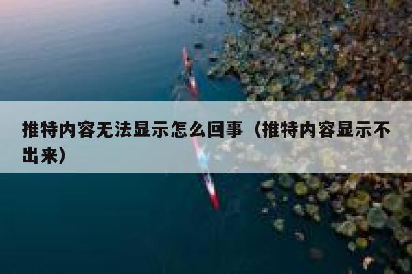 推特内容无法显示怎么回事（推特内容显示不出来） 第1张
