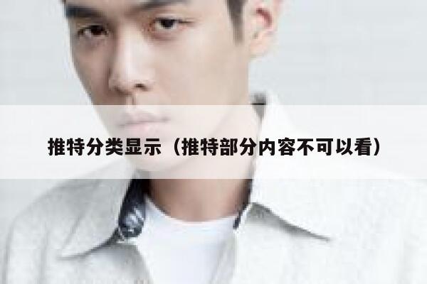 推特分类显示（推特部分内容不可以看） 第1张