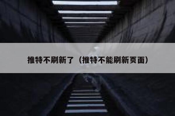 推特不刷新了（推特不能刷新页面） 第1张