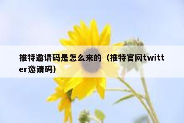 推特邀请码是怎么来的（推特官网twitter邀请码） 第1张