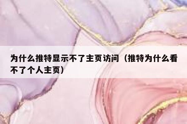 为什么推特显示不了主页访问（推特为什么看不了个人主页） 第1张