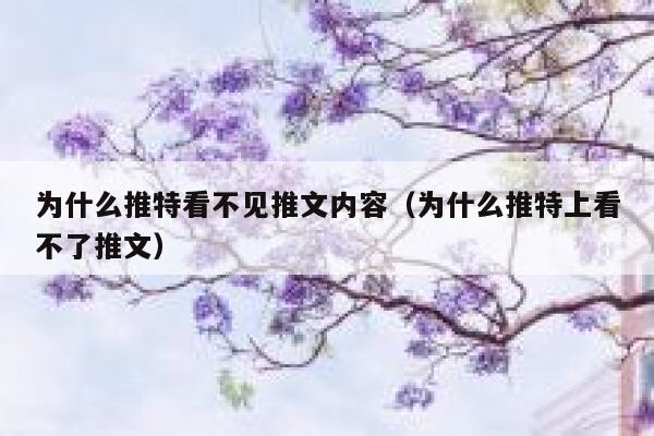 为什么推特看不见推文内容（为什么推特上看不了推文） 第1张