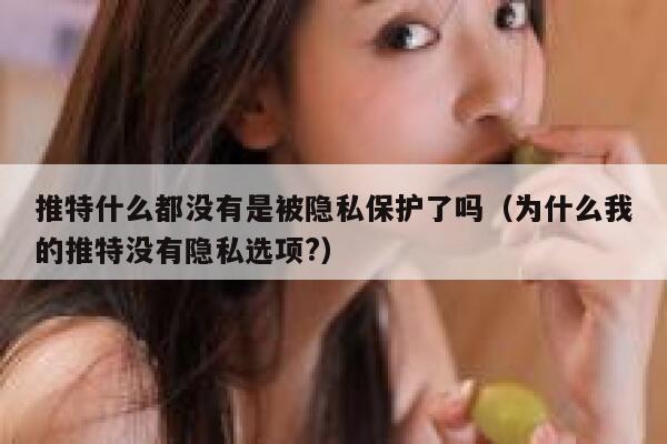 推特什么都没有是被隐私保护了吗（为什么我的推特没有隐私选项?） 第1张