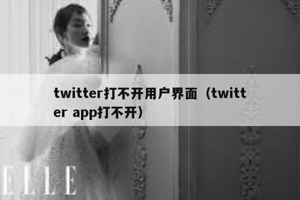 twitter打不开用户界面（twitter app打不开） 第1张
