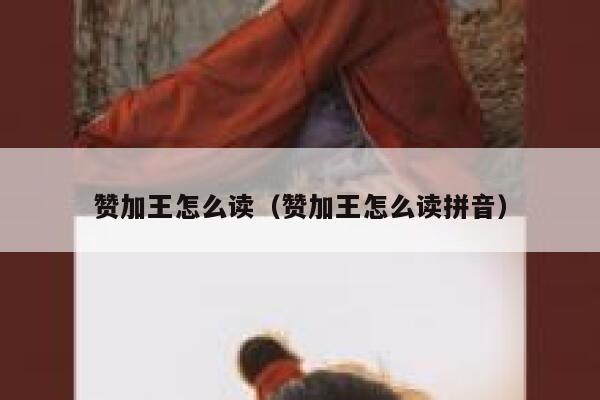 赞加王怎么读（赞加王怎么读拼音） 第1张