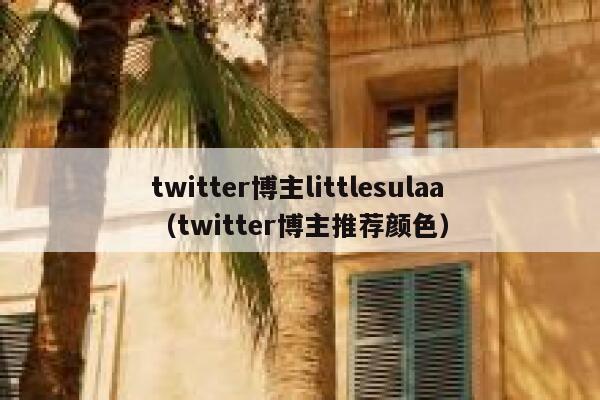 twitter博主littlesulaa（twitter博主推荐颜色） 第1张