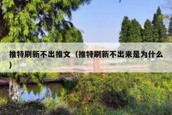 推特刷新不出推文（推特刷新不出来是为什么） 第1张