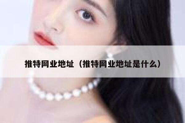 推特网业地址（推特网业地址是什么） 第1张