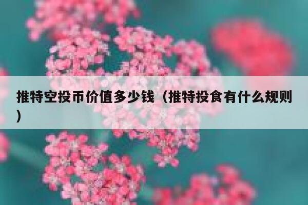 推特空投币价值多少钱（推特投食有什么规则） 第1张