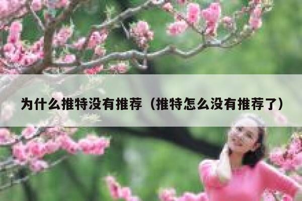 为什么推特没有推荐（推特怎么没有推荐了） 第1张