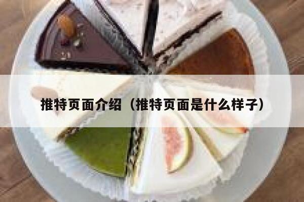 推特页面介绍（推特页面是什么样子） 第1张
