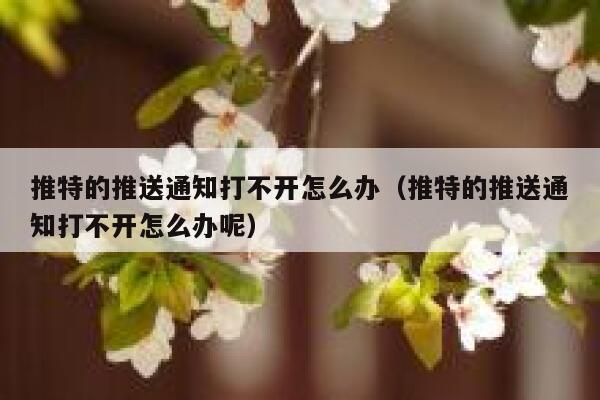 推特的推送通知打不开怎么办（推特的推送通知打不开怎么办呢） 第1张