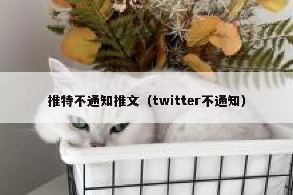 推特不通知推文（twitter不通知） 第1张