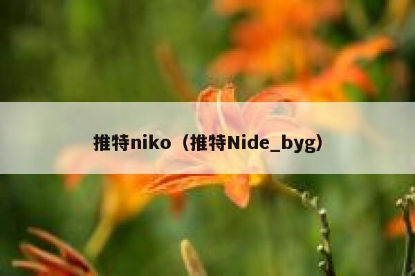 推特niko（推特Nide_byg） 第1张