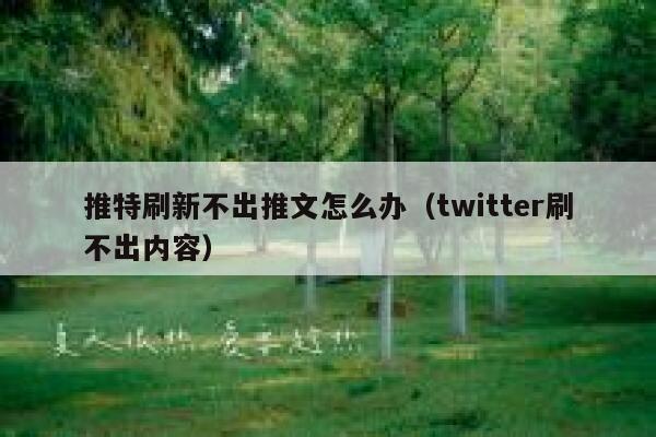 推特刷新不出推文怎么办（twitter刷不出内容） 第1张