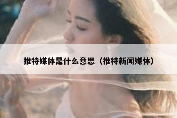 推特媒体是什么意思（推特新闻媒体） 第1张