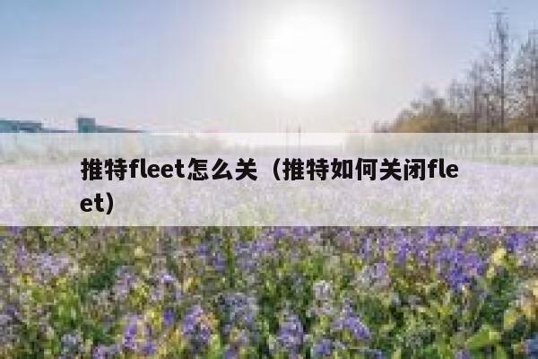 推特fleet怎么关（推特如何关闭fleet） 第1张