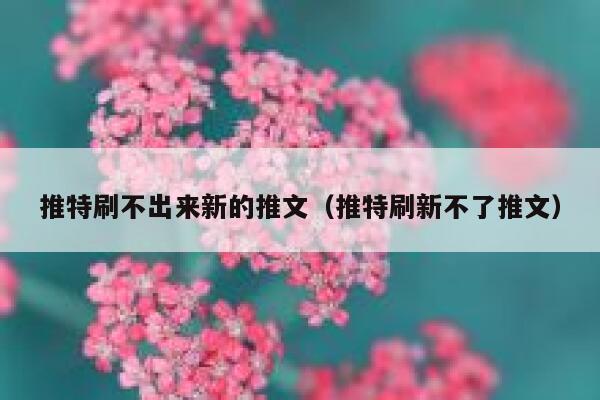 推特刷不出来新的推文（推特刷新不了推文） 第1张