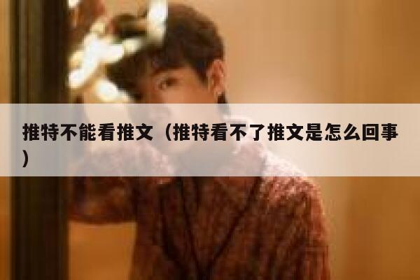 推特不能看推文（推特看不了推文是怎么回事） 第1张