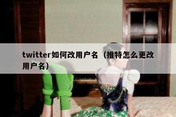 twitter如何改用户名（推特怎么更改用户名） 第1张