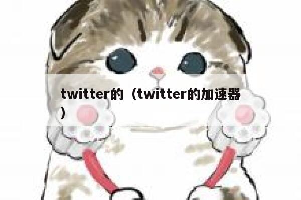 twitter的（twitter的加速器） 第1张