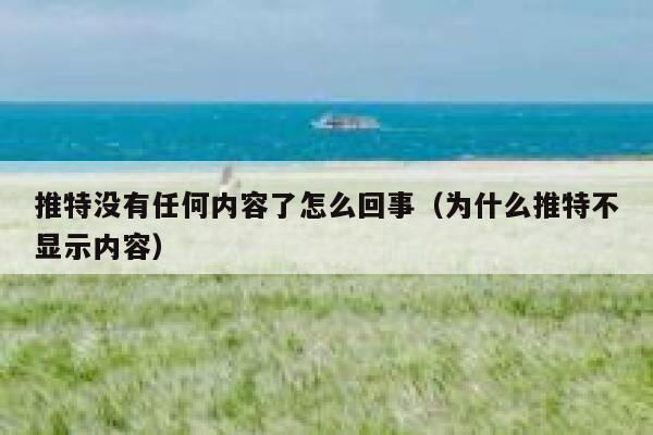 推特没有任何内容了怎么回事（为什么推特不显示内容） 第1张
