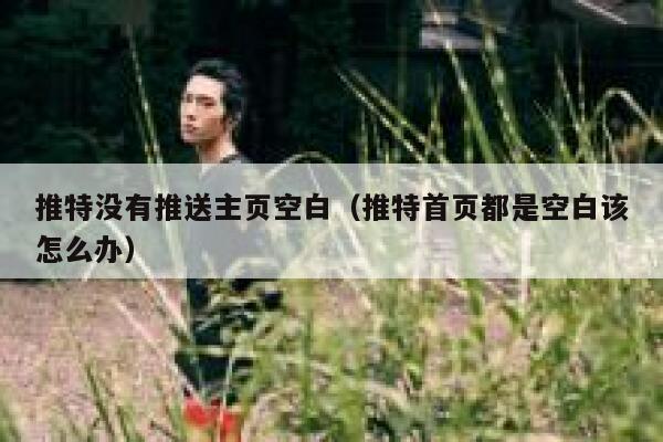 推特没有推送主页空白（推特首页都是空白该怎么办） 第1张
