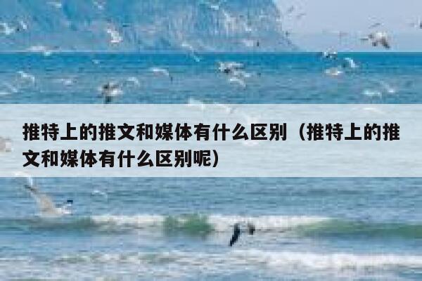推特上的推文和媒体有什么区别（推特上的推文和媒体有什么区别呢） 第1张