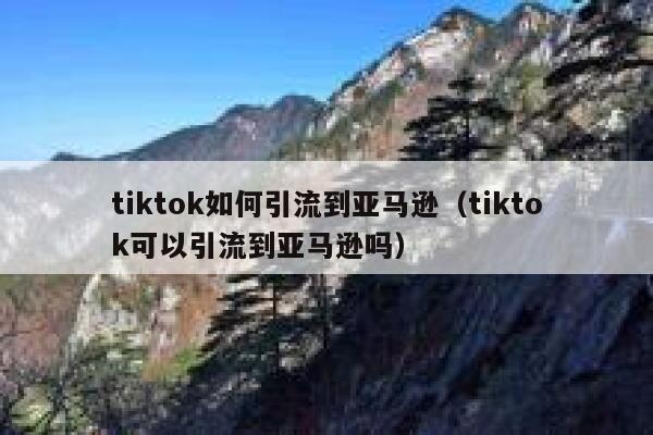 tiktok如何引流到亚马逊（tiktok可以引流到亚马逊吗） 第1张