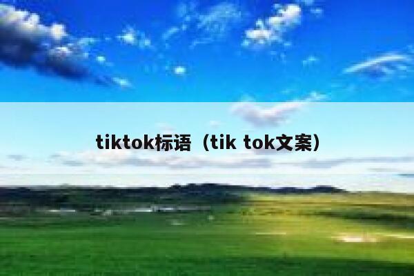 tiktok标语（tik tok文案） 第1张