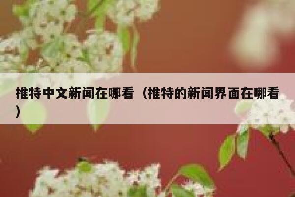 推特中文新闻在哪看（推特的新闻界面在哪看） 第1张