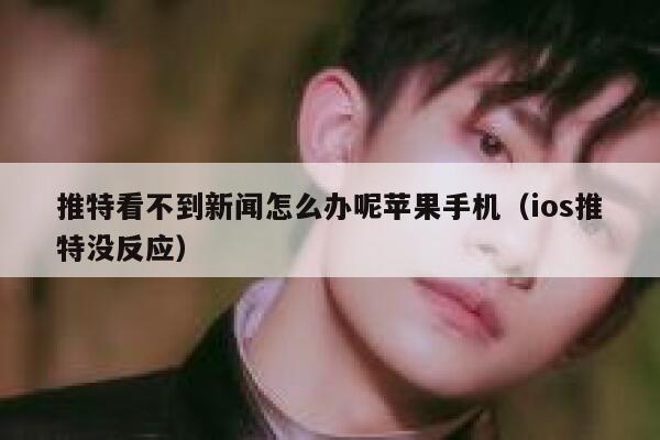 推特看不到新闻怎么办呢苹果手机（ios推特没反应） 第1张
