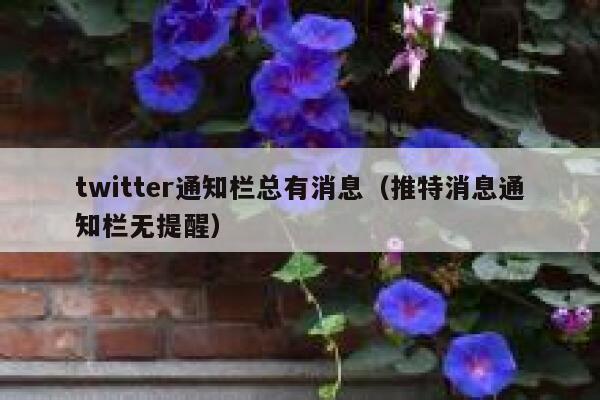 twitter通知栏总有消息（推特消息通知栏无提醒） 第1张