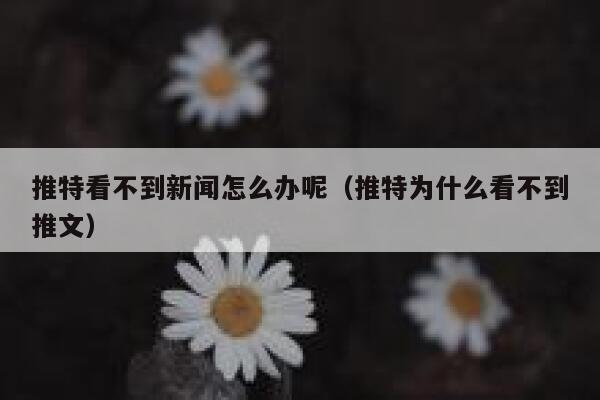 推特看不到新闻怎么办呢（推特为什么看不到推文） 第1张