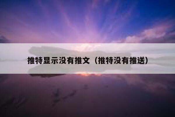 推特显示没有推文（推特没有推送） 第1张